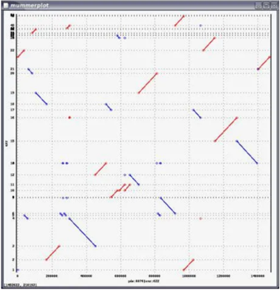 genome-dotplot
